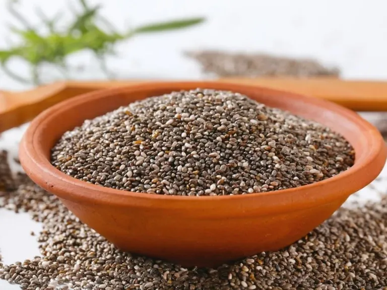 Chia-Tohumu-Nasl-Tuketebiliriz–1677327635_1200x
