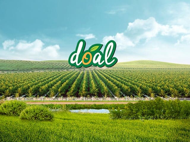 doal-meyve1