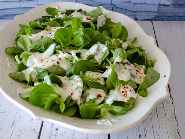 yoğurtlu semizotu salatası