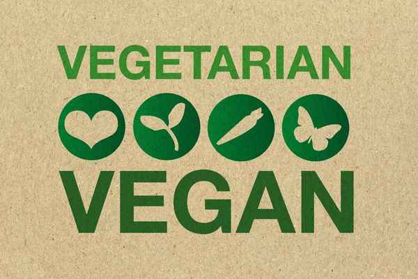 Vegan