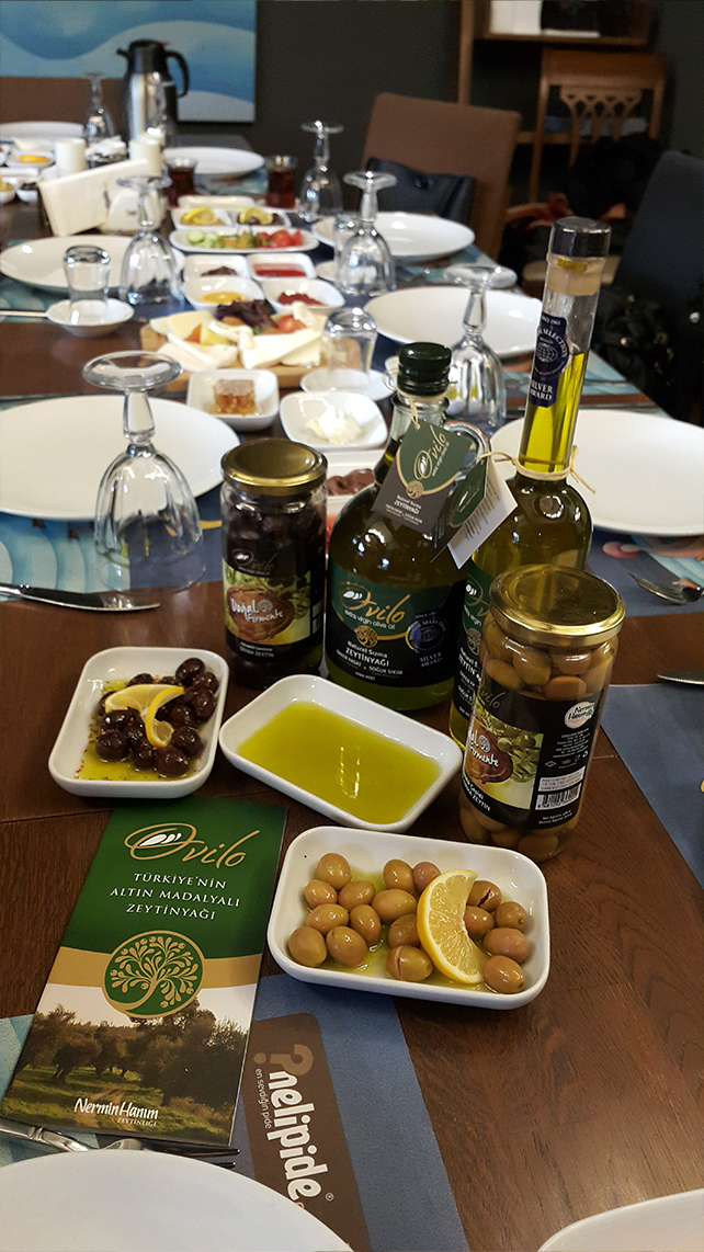 zeytin.jpg